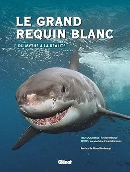 Couverture de Le grand requin blanc