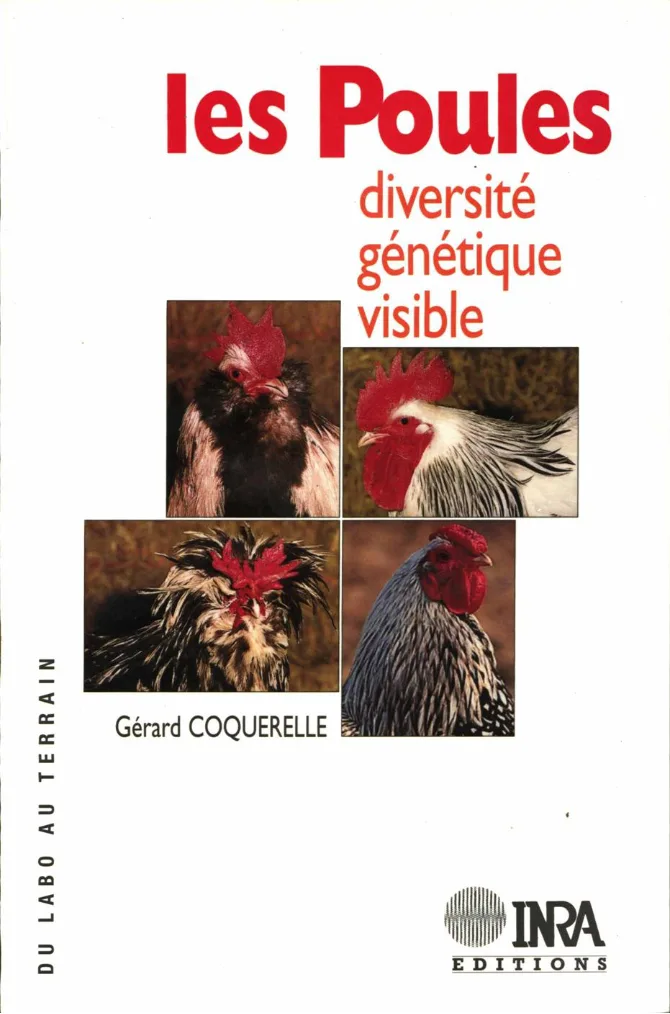Couverture de Les poules